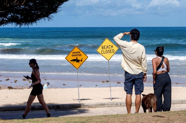 Warning signs at Queenscliff Beach with beaches closed after recent shark attacks in Sydney, Australia, January 20, 2026.
