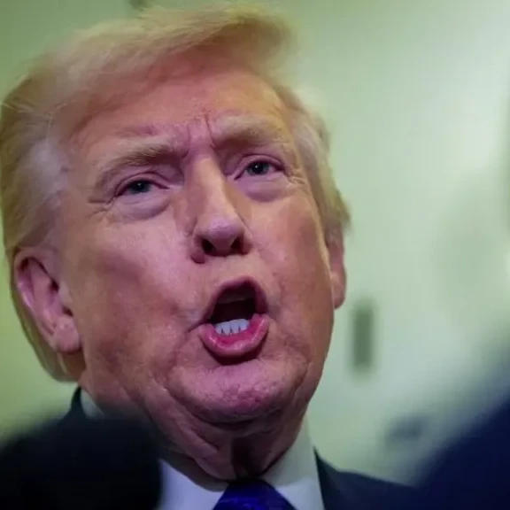 Watch: Trump says he 'didn't see' racist clip depicting Obamas as apes - bbc