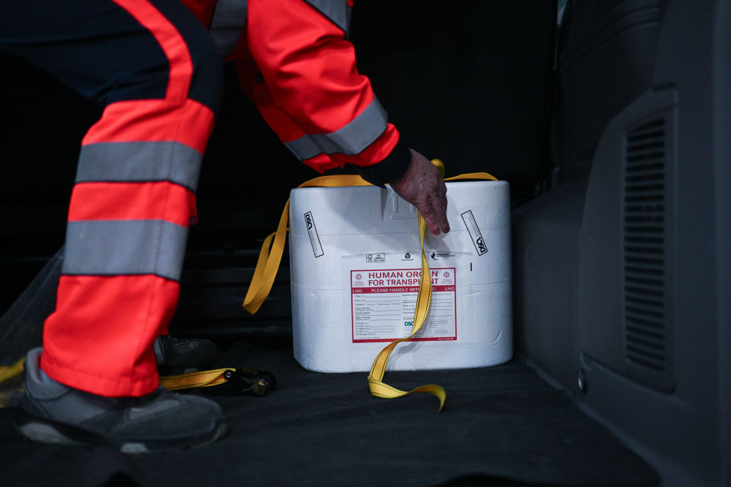 Organ transport cooler handled by a medical worker, illustrating the logistics of organ procurement.