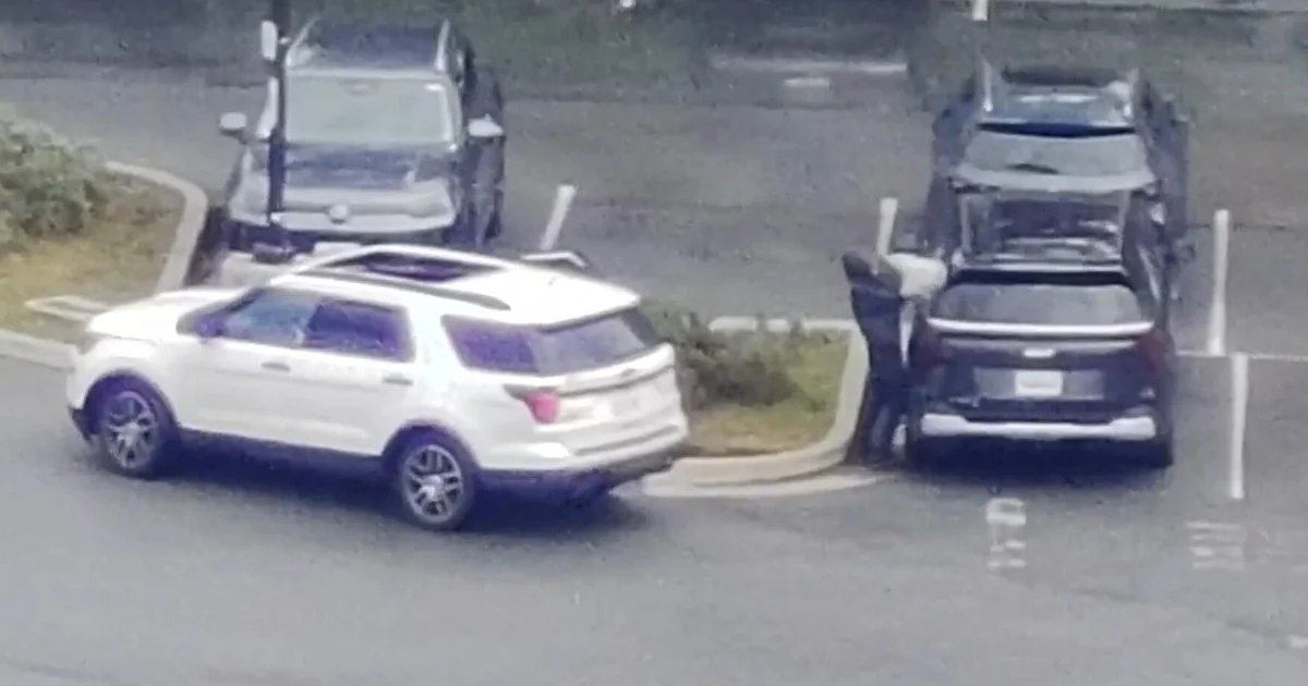 Police vehicles and officers near a coastal villa during the Vietri sul Mare raid to arrest Roberto Mazzarella