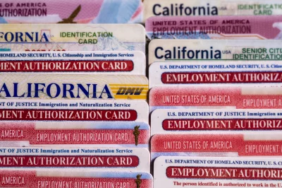 State and federal IDs belonging to Rosa Maria Carranza, including Social Security, driver's license, and work authorization cards, displayed on a table at her home in Oakland, California.